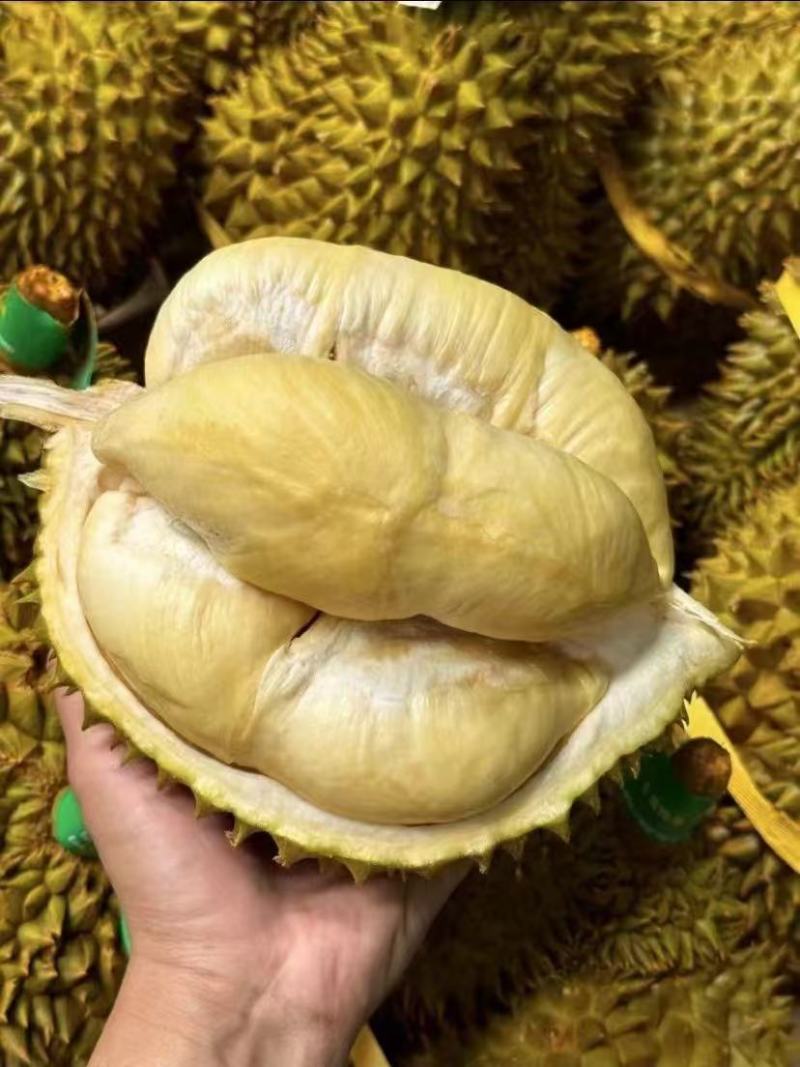 好货源榴莲