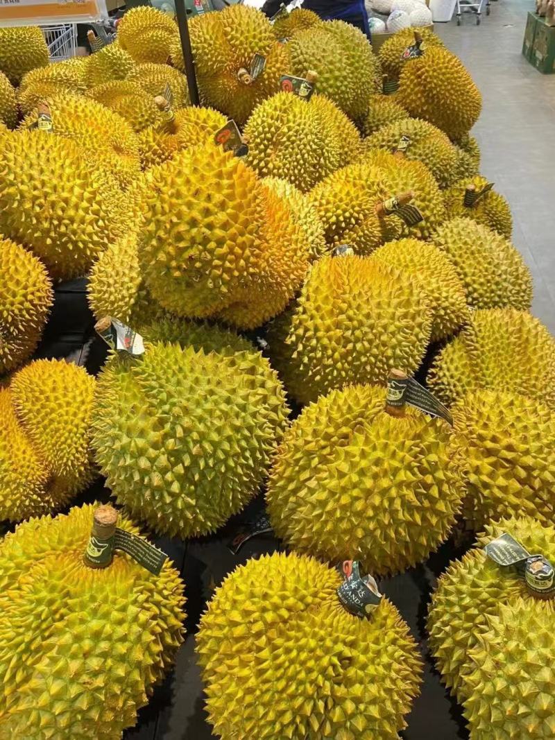 高品质榴莲