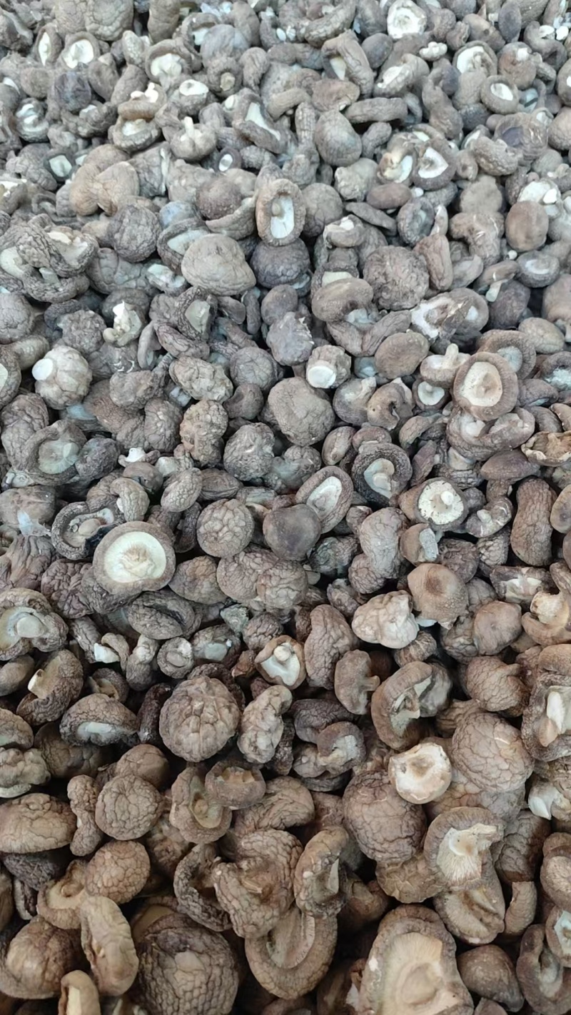 2-2.5/2.5-3/3-4/4以上大菇，各种规格的干香菇