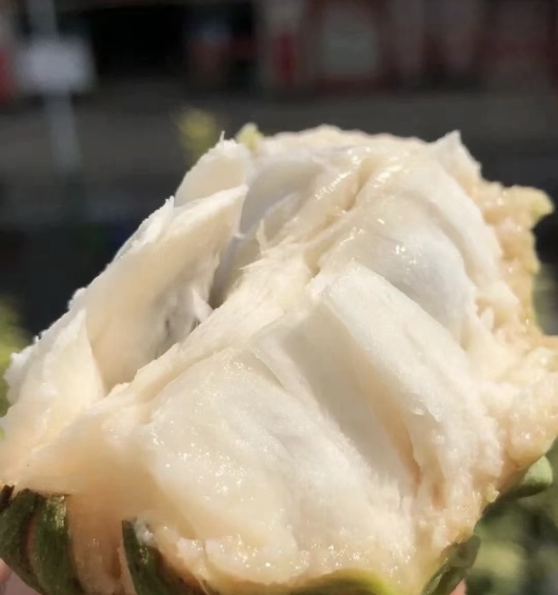释迦果