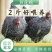 芦花鸡苗货到满意付款包防疫满1000送100包运输