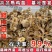 买1000送300三黄鸡苗包防疫包运输货到满意付款