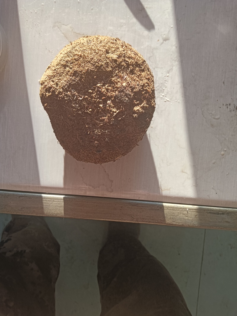 药材羊结石