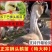 买1000送300狮头鹅苗包防疫包运输货到满意付款