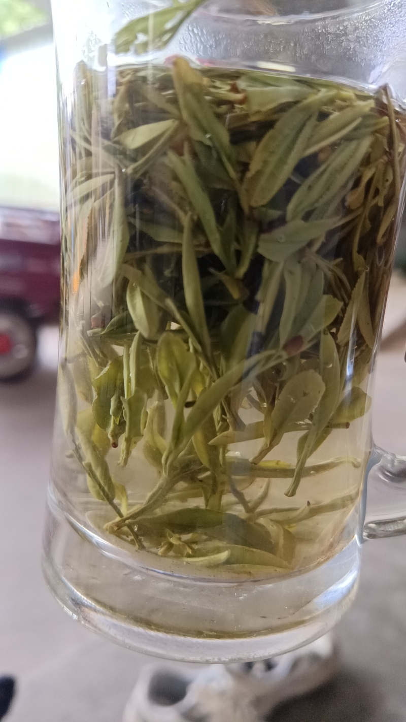 茶叶