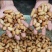 虫冰鲜发货，每天都有100斤以上新鲜货