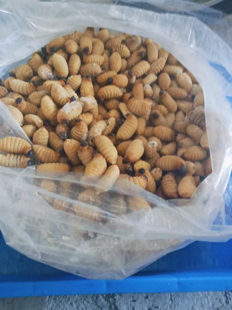 鲜活和冰鲜可以选择，可以一直拿货有优惠，诚信经营