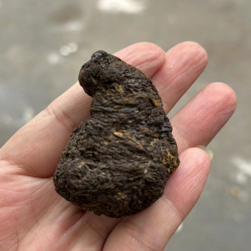羊黄