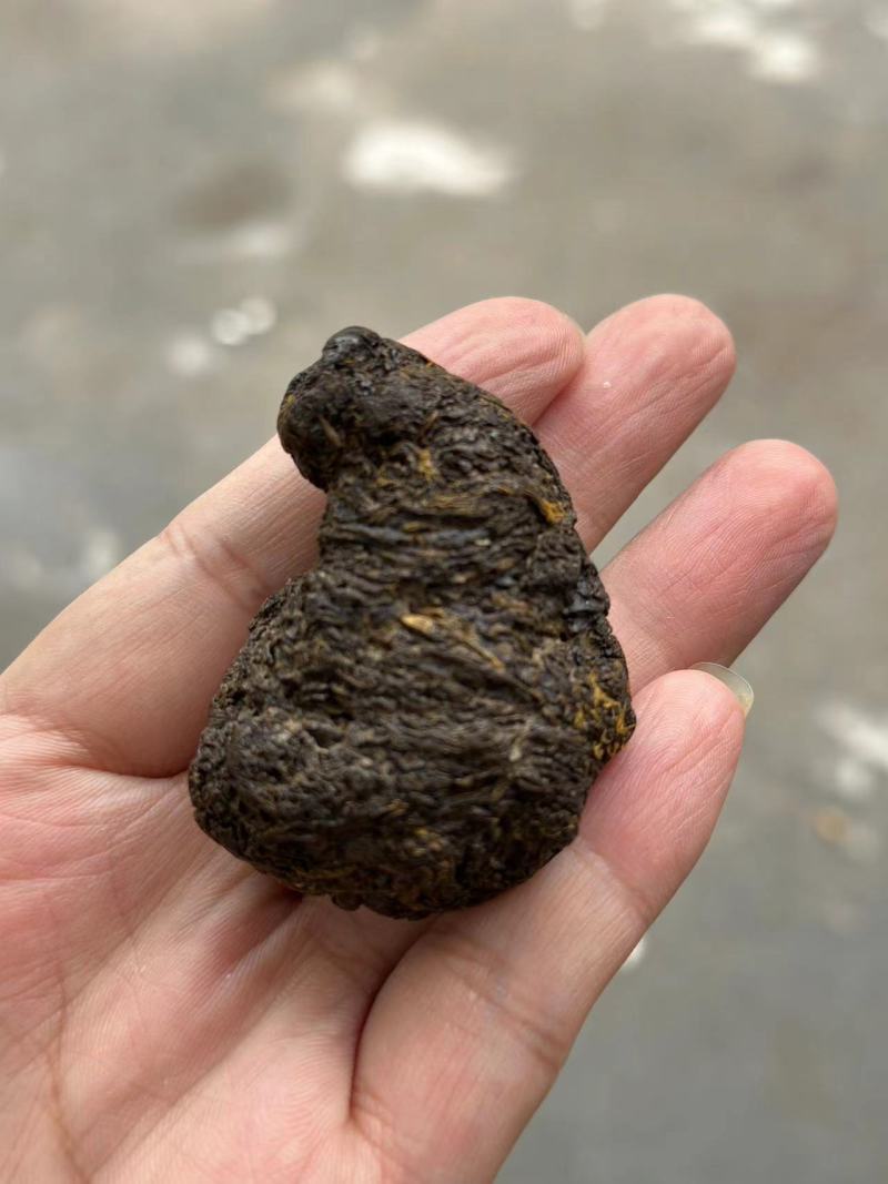 羊黄
