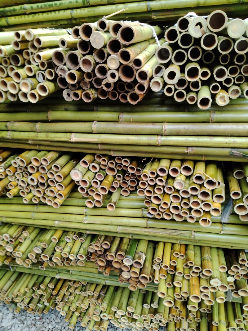 4-10米小山竹