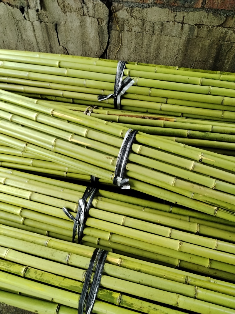 4-10米小山竹
