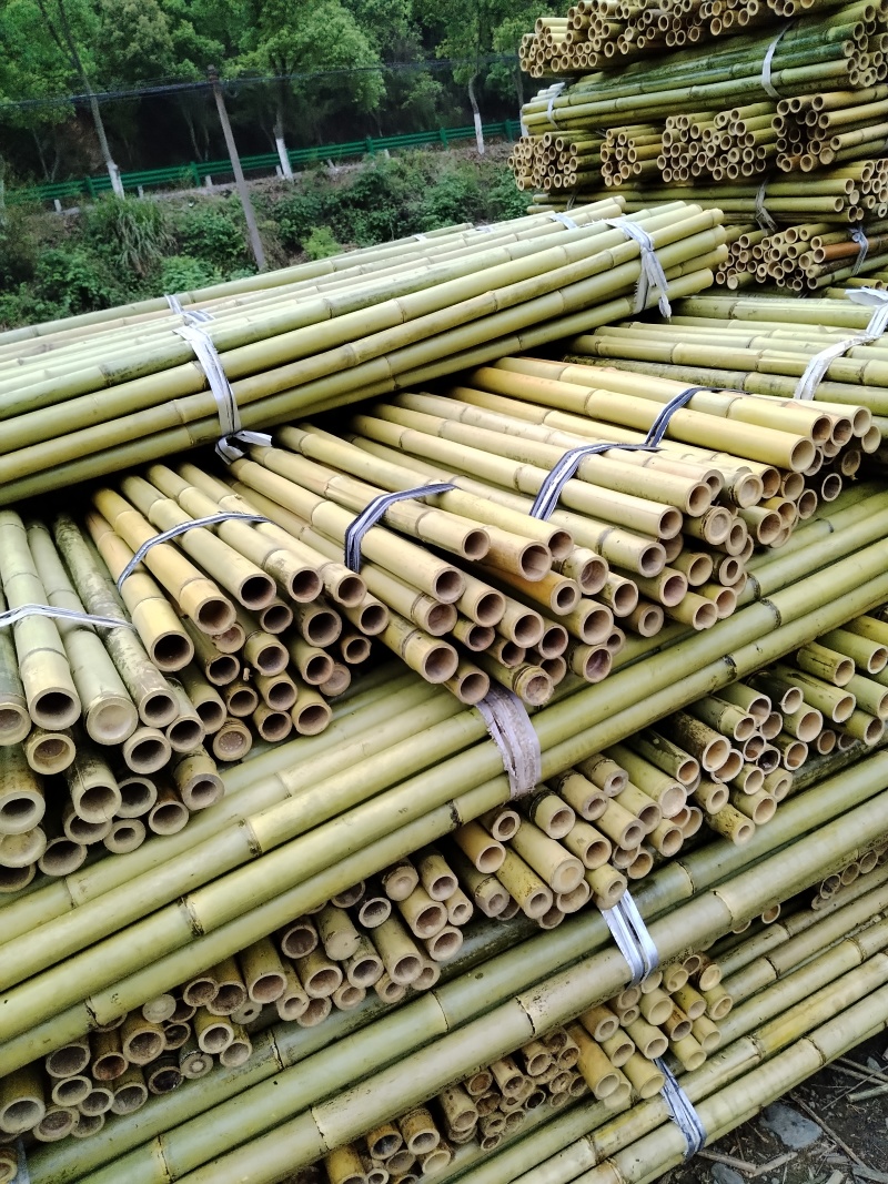 4-10米小山竹