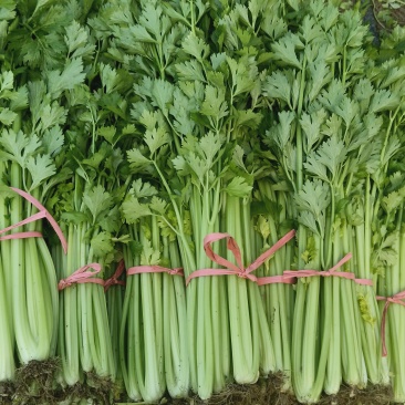 玻璃脆芹菜