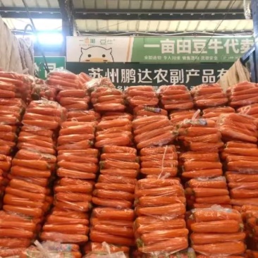 萝卜