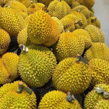 产地直销榴莲