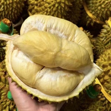 榴莲现货