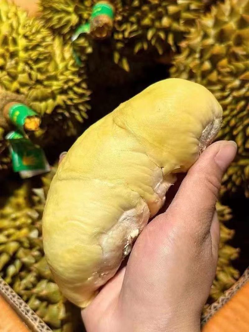 榴莲现货