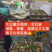 苏残蟹批发