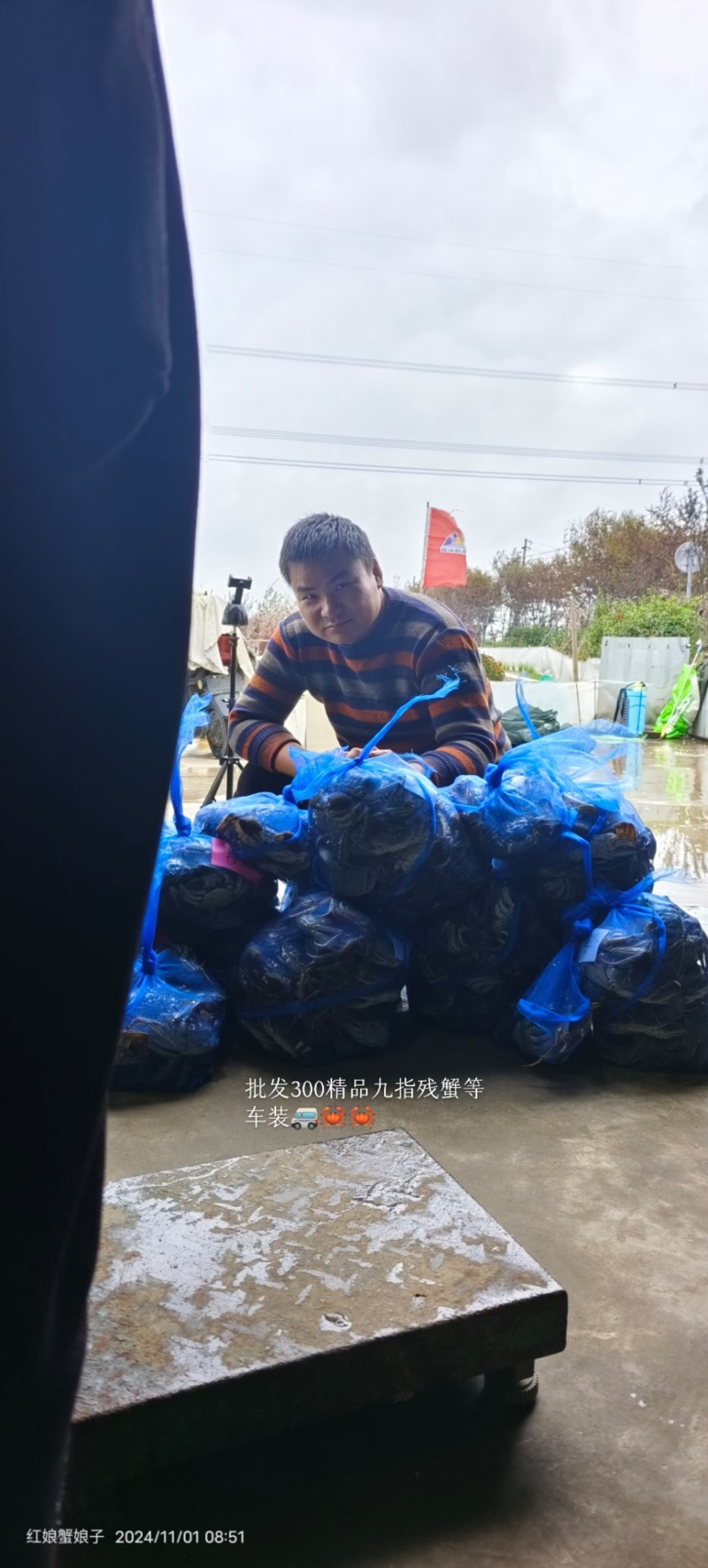 苏残蟹批发