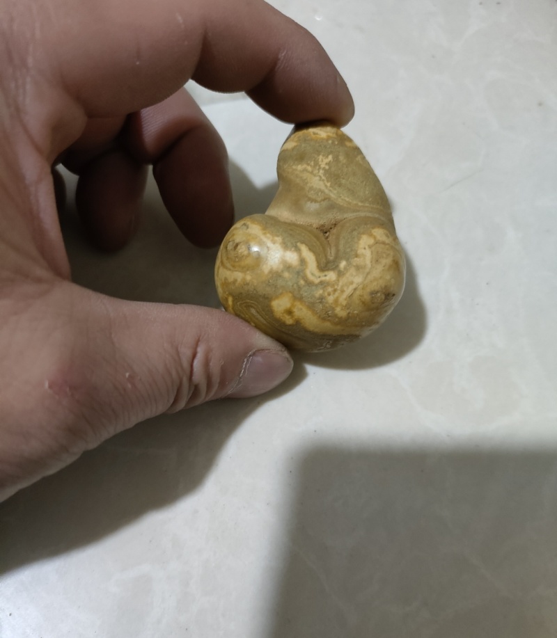 羊结石（羊宝）
