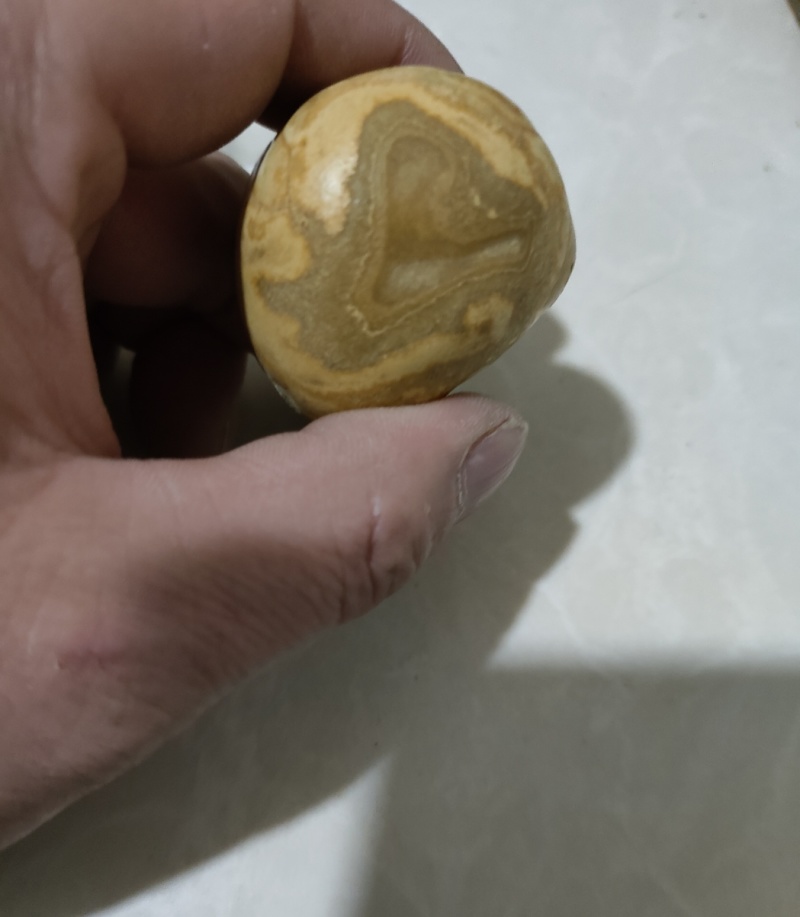 **羊结石（羊宝）