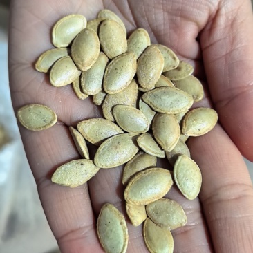 南瓜子原味椒盐。
