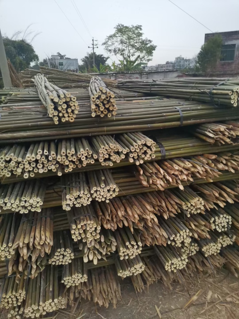 种植用竹子厘竹，苦竹，黄金竹，撑蕉竹，豆角，冬瓜种植使用