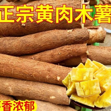 广西特产，黄心木薯5万斤