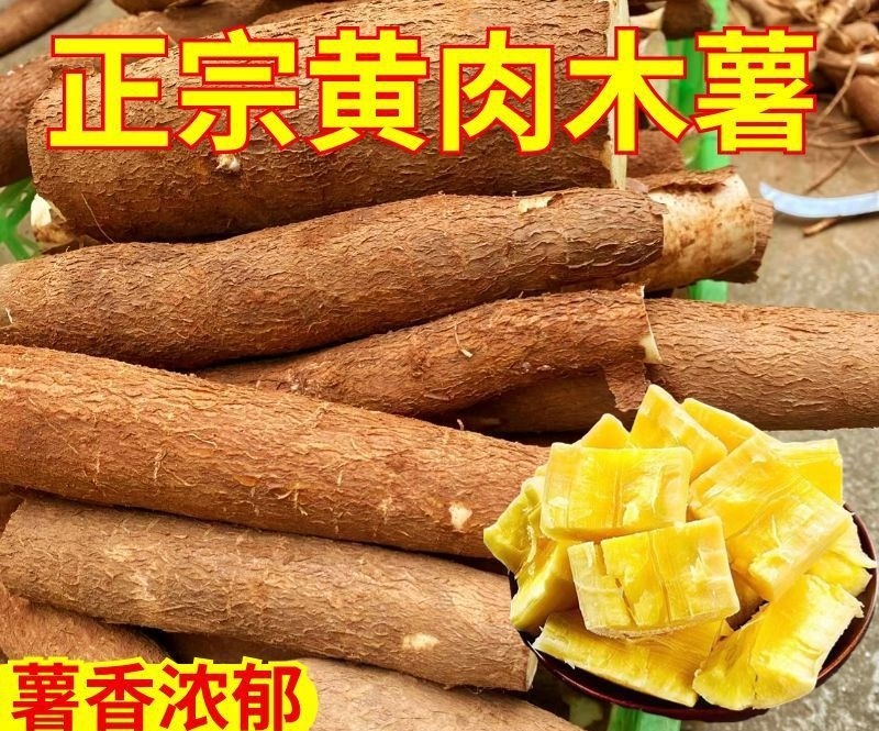 广西特产，黄心木薯5万斤