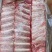 多肉小排、肋排、寸排！山东腾惠更多客户的选择