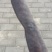 皂角