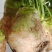 四川乐山大头菜