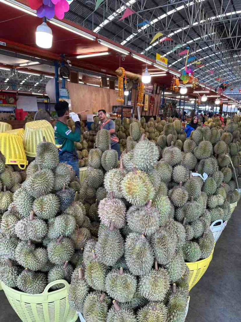 泰国金枕榴莲产地直销大量现货保质保量包售后