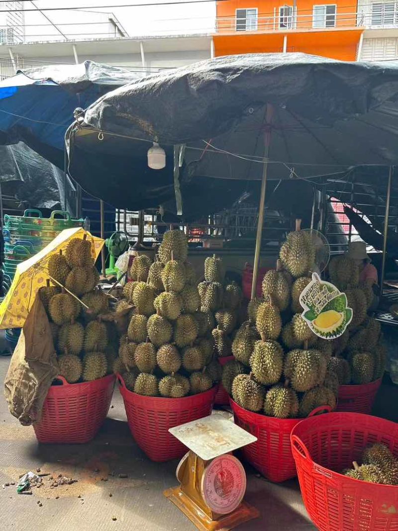 泰国金枕榴莲产地直销大量现货保质保量包售后