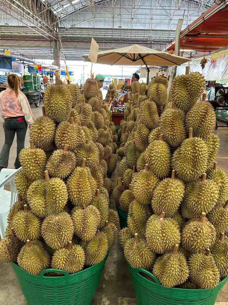 泰国金枕榴莲产地直销大量现货保质保量包售后