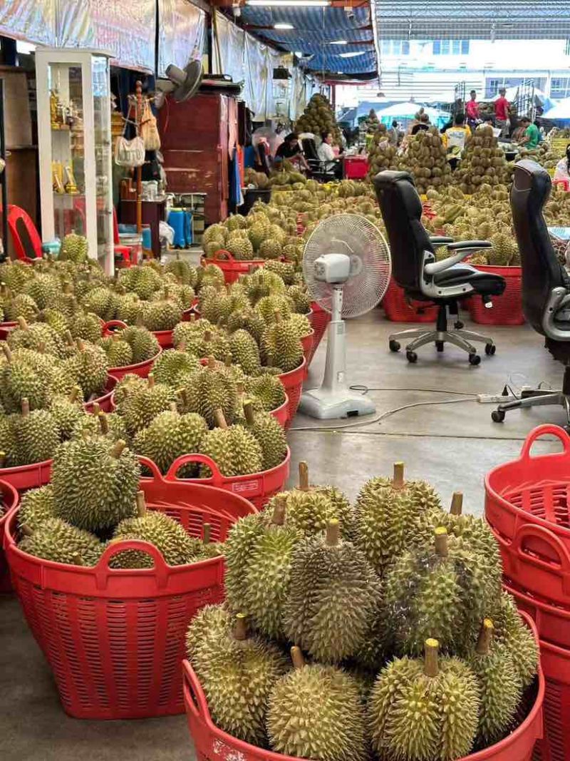 泰国金枕榴莲产地直销大量现货保质保量包售后