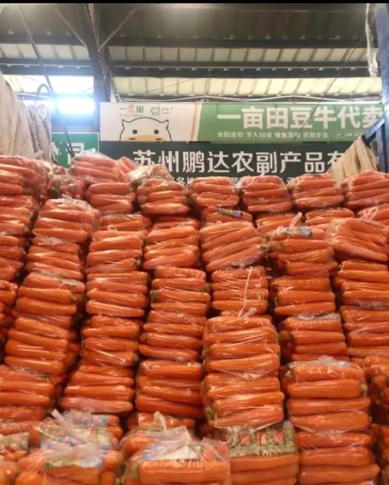 萝卜
