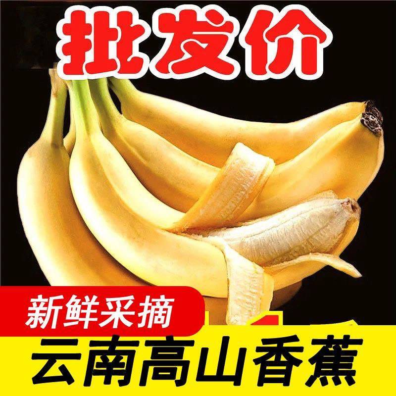 【甜糯香蕉】云南香蕉当季新鲜水果薄皮一整箱批发