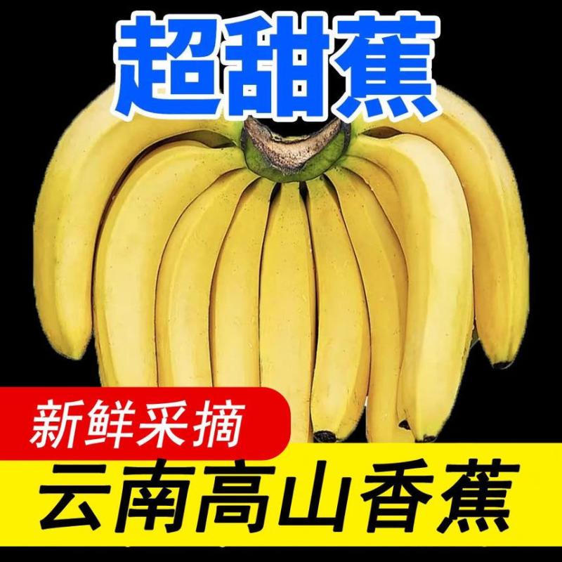 【甜糯香蕉】云南香蕉当季新鲜水果薄皮一整箱批发