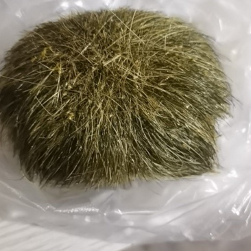 猪宝