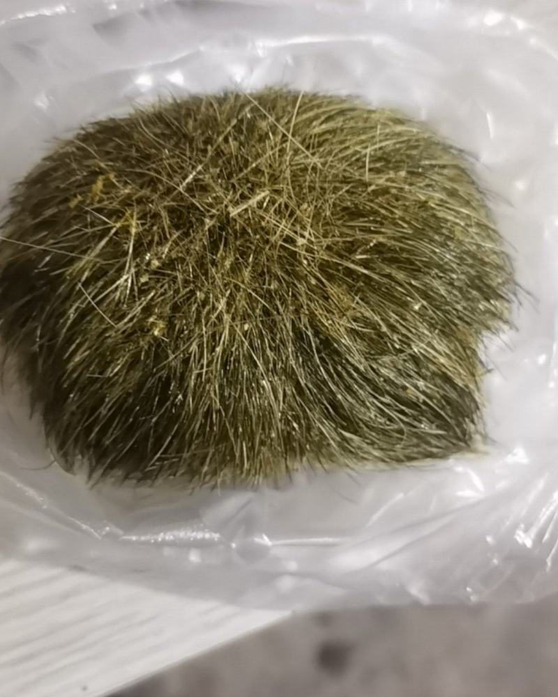 猪宝