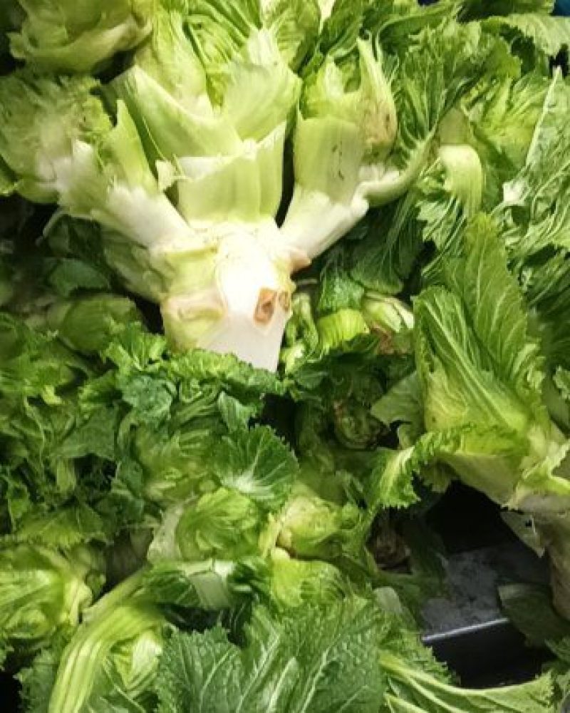 儿菜