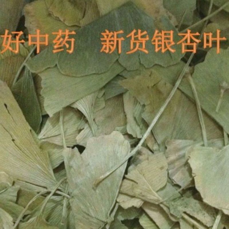 银杏叶1公斤无硫干银杏叶片特级正品包邮中药材店铺中草药