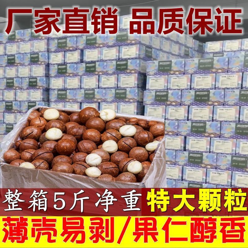夏威夷果18-20精品果大量现货支持一件代发