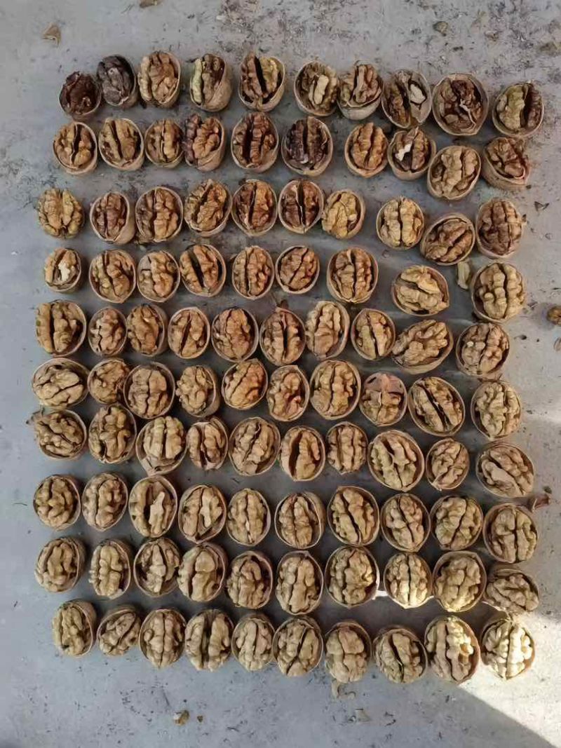 高品质185纸皮核桃
