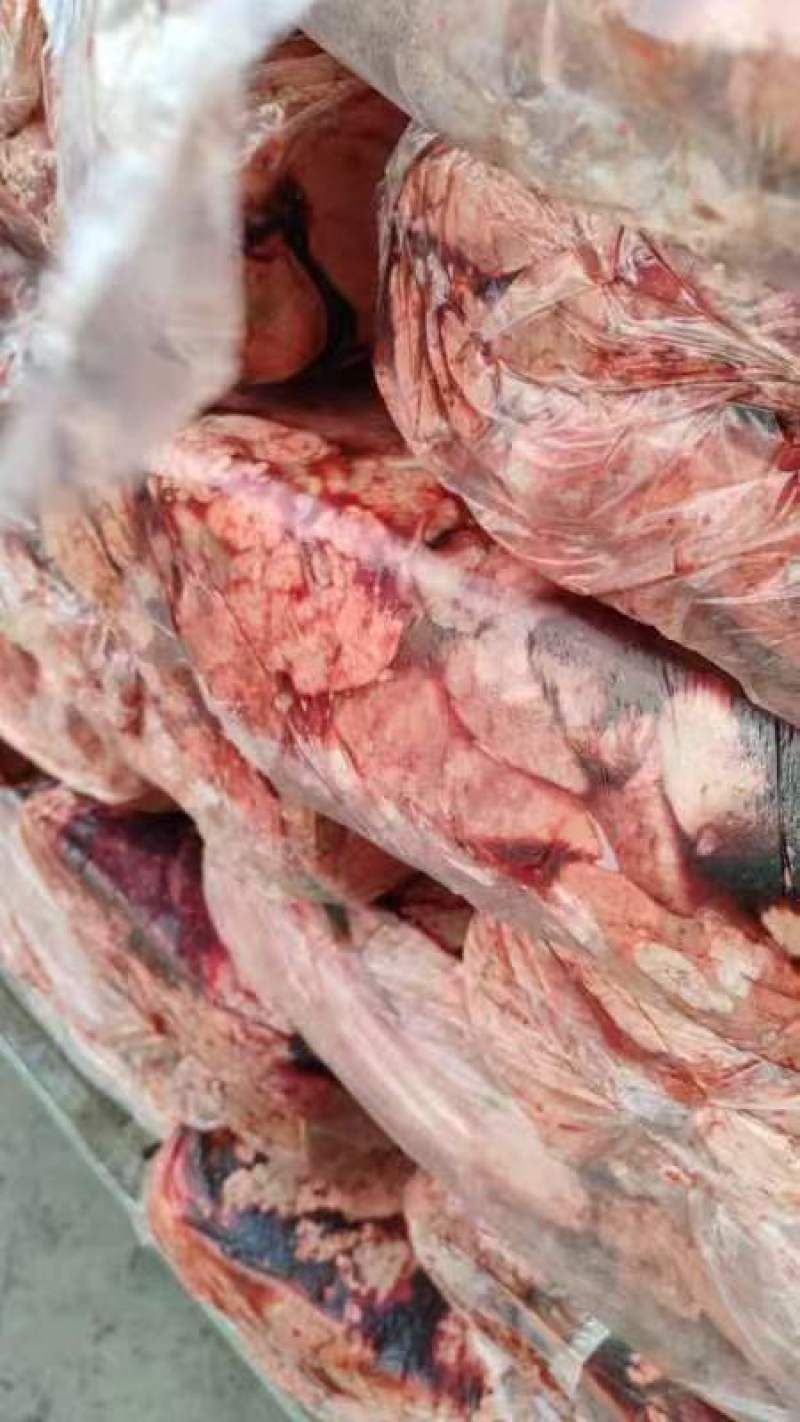 卖点饲料猪肺工厂出需要的联系我