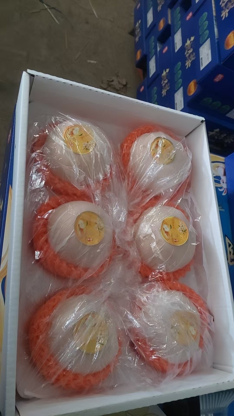 山东莱阳秋月梨礼盒