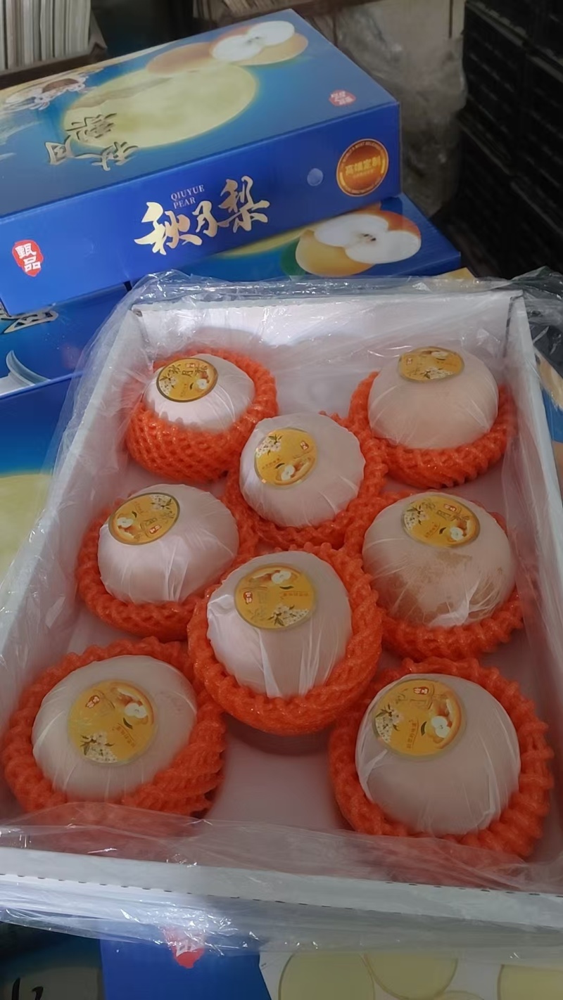山东莱阳秋月梨礼盒