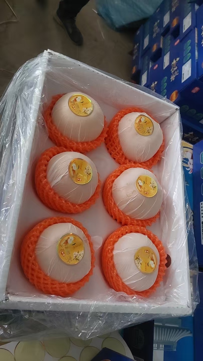 山东莱阳秋月梨礼盒