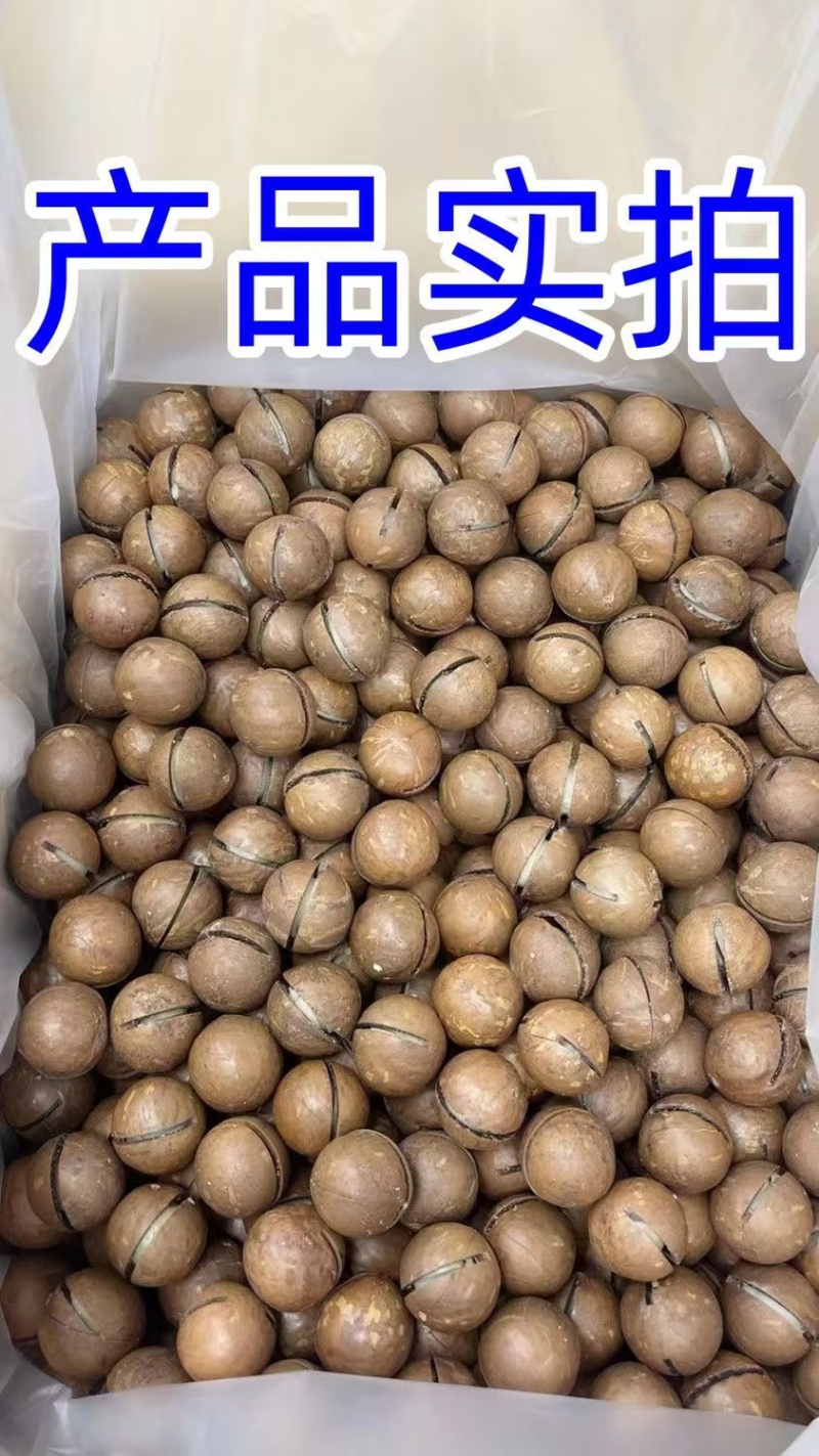 电商通货夏威夷果规格20-22量大优惠